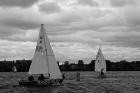 L1007995_DxO