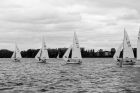 L1008028_DxO
